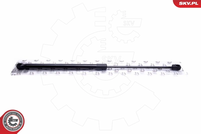 Gas Spring, bonnet